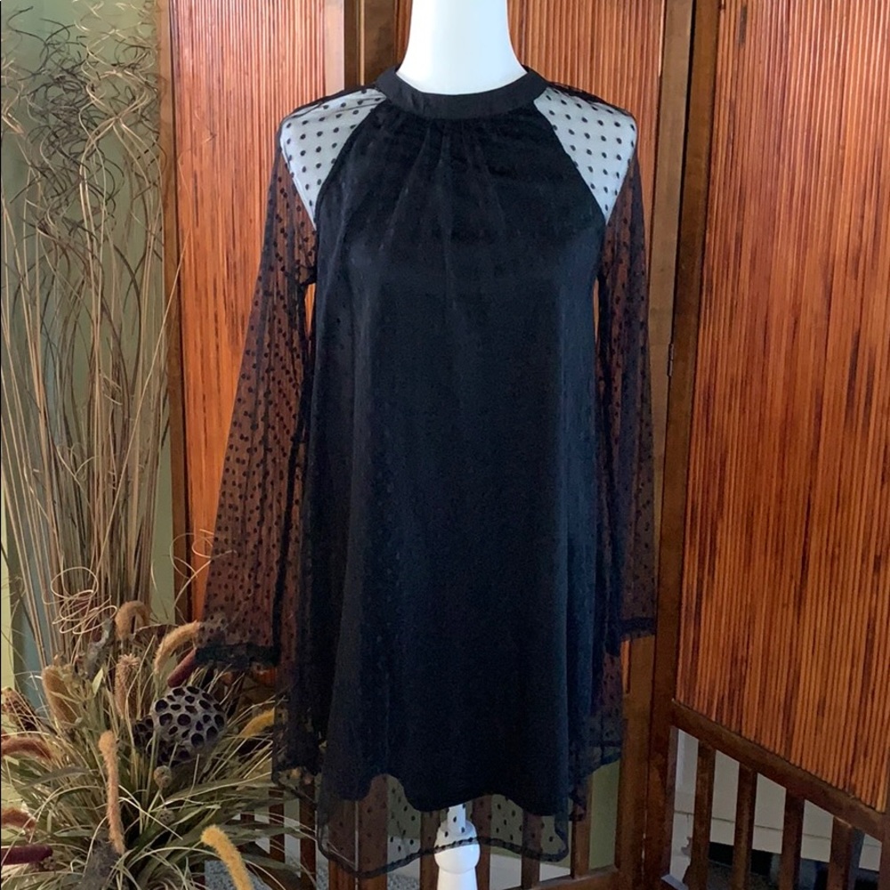 Black dress with shear long sleeves